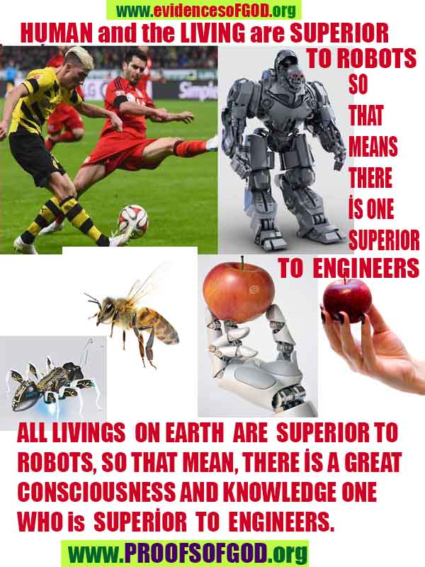 proofs of god, evidences of god, god-proofs, god-signs, god-evidences, god exists, god-real, god is real,god-exists, #god, 신의 증거, 신의 증거, 신의 표징, 증거-신, 증거-신, 신은 실재한다, 신은 존재한다 