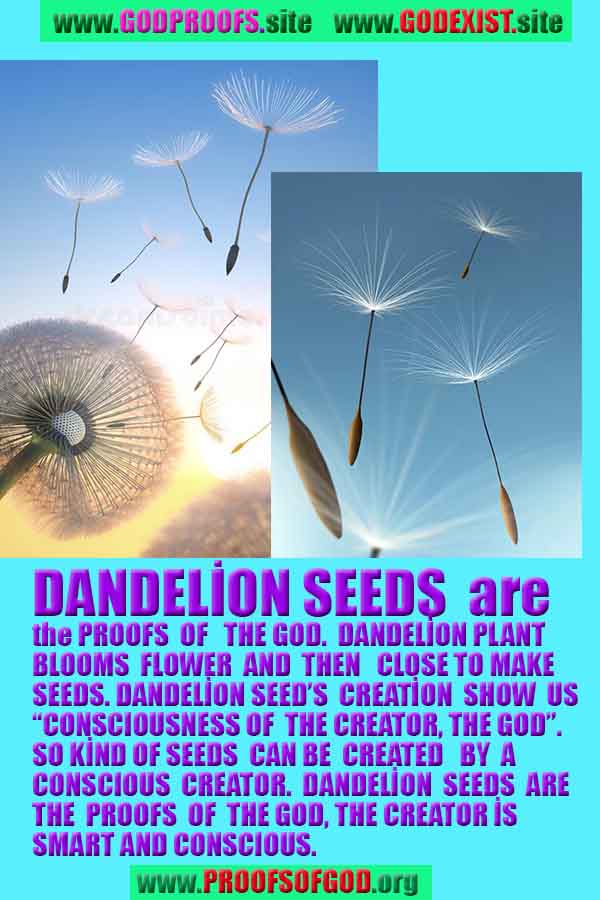 proofs of god, evidences of god, god-proofs, god-signs, god-evidences, god exists, god-real, god is real,god-exists, #god, 신의 증거, 신의 증거, 신의 표징, 증거-신, 증거-신, 신은 실재한다, 신은 존재한다 