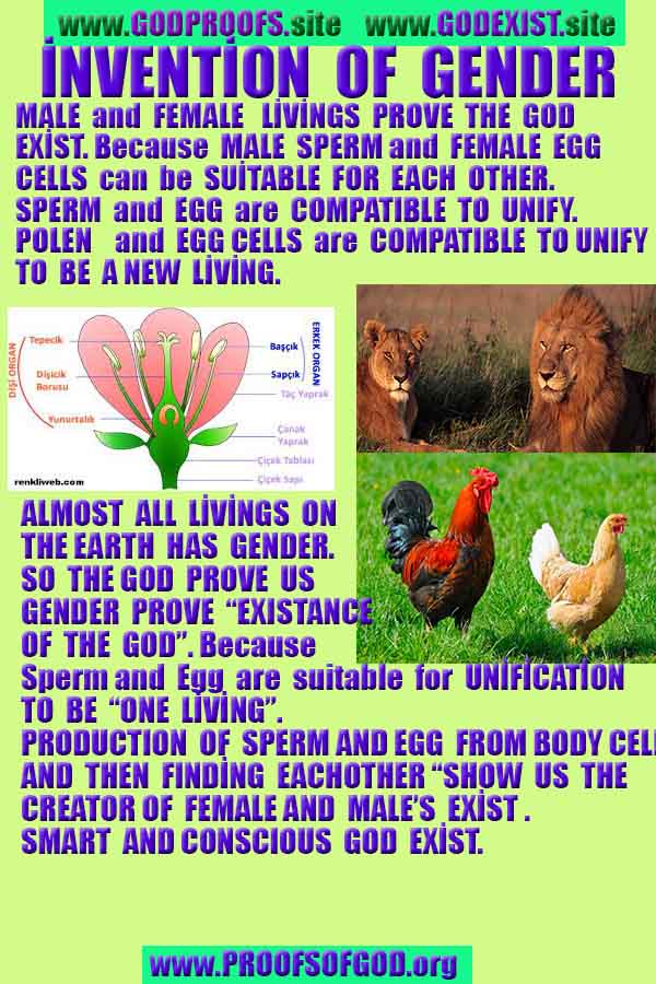 proofs of god, evidences of god, god-proofs, god-signs, god-evidences, god exists, god-real, god is real,براهين الله، أدلة الله، علامات الله، براهين الله، أدلة الله، الله حقيقي، الله موجود 