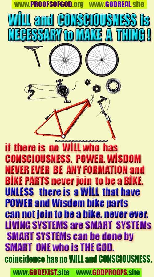 proofs of god, evidences of god, god-proofs, god-signs, god-evidences, god exists, god-real, god is real, pruebas de dios, evidencias de dios, signos de dios, pruebas-dios, evidencias-dios, dios es real, dios existe 