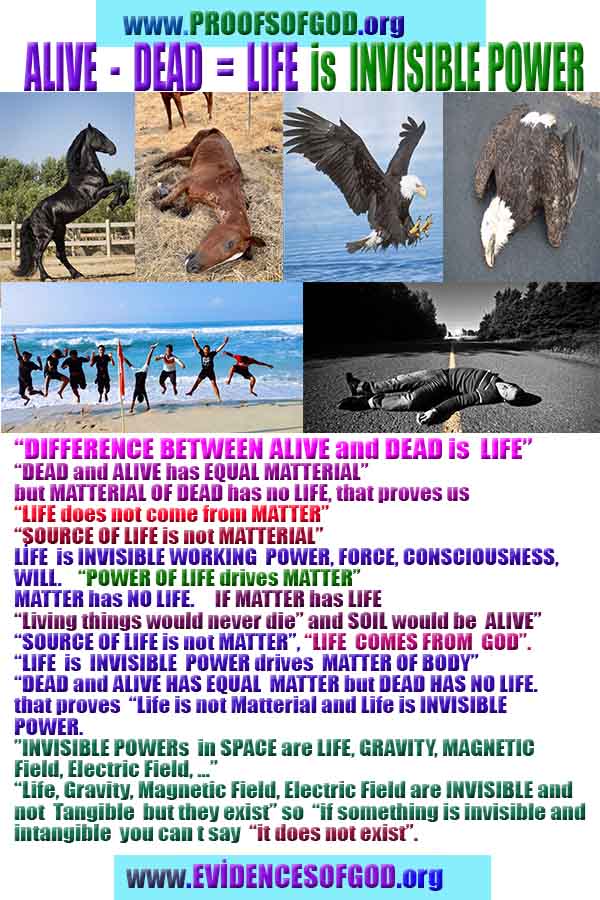 proofs of god, evidences of god, god-proofs, god-signs, god-evidences, god exists, god-real, god is real, 神の証明、神の証拠、神の兆候、神の証明、神の証拠、神は実在する、神は存在する 