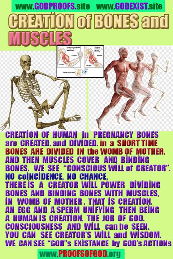 proofs of god, evidences of god, god-proofs, god-signs, god-evidences, god exists, god-real, god is real,براهين الله، أدلة الله، علامات الله، براهين الله، أدلة الله، الله حقيقي، الله موجود 