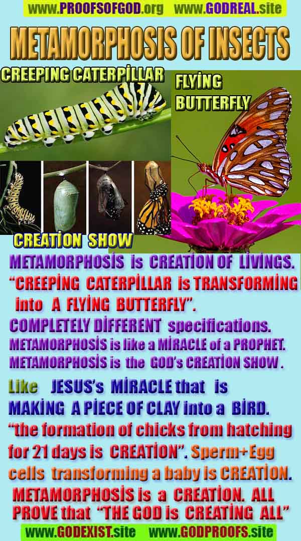 proofs of god, evidences of god, god-proofs, god-signs, god-evidences, god exists, god-real, god is real, 上帝的證明，上帝的證據，上帝的跡象，上帝的證據，上帝的證據，上帝是真實的，上帝存在 