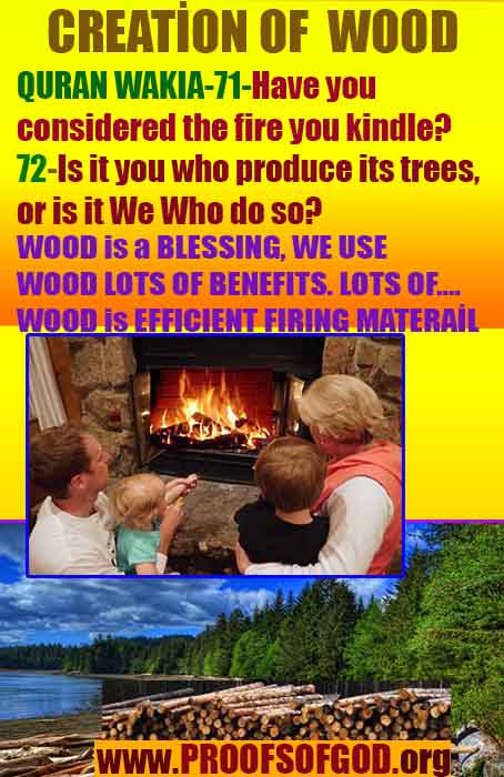 proofs of god, evidences of god, god-proofs, god-signs, god-evidences, god exists, god-real, god is real, provas de deus, evidências de deus, sinais de deus, provas de deus, evidências de deus, deus é real, deus existe 