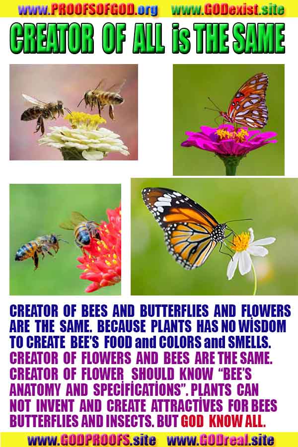 proofs of god, evidences of god, god-proofs, god-signs, god-evidences, god exists, god-real, god is real, 神の証明、神の証拠、神の兆候、神の証明、神の証拠、神は実在する、神は存在する 